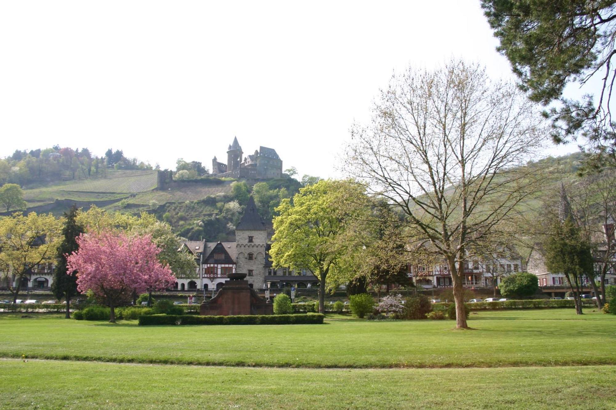 Apartments Stiehl Bacharach Bagian luar foto